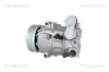 Kompressor, Klimaanlage TRISCAN 9020 24020 Bild Kompressor, Klimaanlage TRISCAN 9020 24020