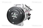 Kompressor, Klimaanlage TRISCAN 9020 24021