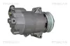 Kompressor, Klimaanlage TRISCAN 9020 24038 Bild Kompressor, Klimaanlage TRISCAN 9020 24038