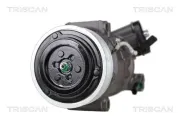 Kompressor, Klimaanlage TRISCAN 9020 24040