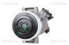 Kompressor, Klimaanlage TRISCAN 9020 24044