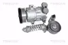 Kompressor, Klimaanlage TRISCAN 9020 24046 Bild Kompressor, Klimaanlage TRISCAN 9020 24046