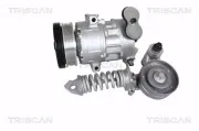 Kompressor, Klimaanlage TRISCAN 9020 24046