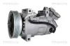 Kompressor, Klimaanlage TRISCAN 9020 25007 Bild Kompressor, Klimaanlage TRISCAN 9020 25007