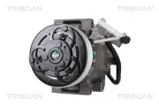 Kompressor, Klimaanlage TRISCAN 9020 25018