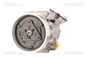 Kompressor, Klimaanlage TRISCAN 9020 25020