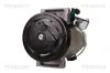 Kompressor, Klimaanlage TRISCAN 9020 25033