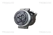 Kompressor, Klimaanlage TRISCAN 9020 25034