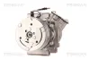 Kompressor, Klimaanlage TRISCAN 9020 25036