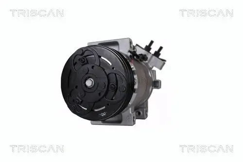 Kompressor, Klimaanlage TRISCAN 9020 25039
