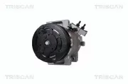 Kompressor, Klimaanlage TRISCAN 9020 25039