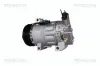 Kompressor, Klimaanlage TRISCAN 9020 25039 Bild Kompressor, Klimaanlage TRISCAN 9020 25039