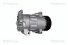 Kompressor, Klimaanlage TRISCAN 9020 25039 Bild Kompressor, Klimaanlage TRISCAN 9020 25039
