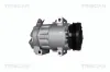 Kompressor, Klimaanlage TRISCAN 9020 25039 Bild Kompressor, Klimaanlage TRISCAN 9020 25039