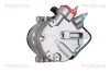 Kompressor, Klimaanlage TRISCAN 9020 27005 Bild Kompressor, Klimaanlage TRISCAN 9020 27005