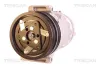 Kompressor, Klimaanlage TRISCAN 9020 27006