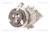 Kompressor, Klimaanlage TRISCAN 9020 28013