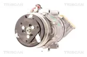 Kompressor, Klimaanlage TRISCAN 9020 28013