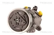 Kompressor, Klimaanlage TRISCAN 9020 28041
