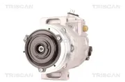 Kompressor, Klimaanlage TRISCAN 9020 29002