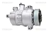 Kompressor, Klimaanlage TRISCAN 9020 29003 Bild Kompressor, Klimaanlage TRISCAN 9020 29003