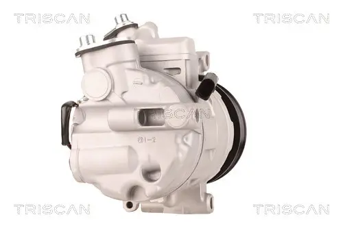 Kompressor, Klimaanlage TRISCAN 9020 29006 Bild Kompressor, Klimaanlage TRISCAN 9020 29006