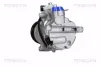 Kompressor, Klimaanlage TRISCAN 9020 29007 Bild Kompressor, Klimaanlage TRISCAN 9020 29007