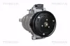 Kompressor, Klimaanlage TRISCAN 9020 29007 Bild Kompressor, Klimaanlage TRISCAN 9020 29007