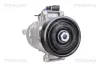 Kompressor, Klimaanlage TRISCAN 9020 29013 Bild Kompressor, Klimaanlage TRISCAN 9020 29013