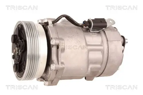 Kompressor, Klimaanlage TRISCAN 9020 29018 Bild Kompressor, Klimaanlage TRISCAN 9020 29018