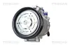 Kompressor, Klimaanlage TRISCAN 9020 29027