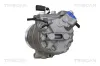 Kompressor, Klimaanlage TRISCAN 9020 29031 Bild Kompressor, Klimaanlage TRISCAN 9020 29031