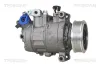 Kompressor, Klimaanlage TRISCAN 9020 29031 Bild Kompressor, Klimaanlage TRISCAN 9020 29031