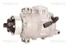 Kompressor, Klimaanlage TRISCAN 9020 29033 Bild Kompressor, Klimaanlage TRISCAN 9020 29033