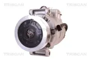 Kompressor, Klimaanlage TRISCAN 9020 29042