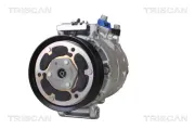 Kompressor, Klimaanlage TRISCAN 9020 29045