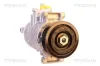 Kompressor, Klimaanlage TRISCAN 9020 29049 Bild Kompressor, Klimaanlage TRISCAN 9020 29049