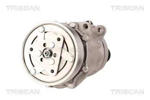 Kompressor, Klimaanlage TRISCAN 9020 29052