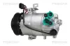 Kompressor, Klimaanlage TRISCAN 9020 43009 Bild Kompressor, Klimaanlage TRISCAN 9020 43009