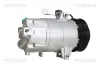 Kompressor, Klimaanlage TRISCAN 9020 43009 Bild Kompressor, Klimaanlage TRISCAN 9020 43009
