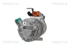 Kompressor, Klimaanlage TRISCAN 9020 43010 Bild Kompressor, Klimaanlage TRISCAN 9020 43010
