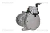 Kompressor, Klimaanlage TRISCAN 9020 43010 Bild Kompressor, Klimaanlage TRISCAN 9020 43010