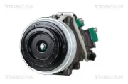 Kompressor, Klimaanlage 12 V TRISCAN 9020 43012