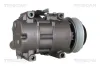 Kompressor, Klimaanlage 12 V TRISCAN 9020 43012 Bild Kompressor, Klimaanlage 12 V TRISCAN 9020 43012