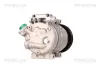 Kompressor, Klimaanlage TRISCAN 9020 43019 Bild Kompressor, Klimaanlage TRISCAN 9020 43019