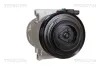 Kompressor, Klimaanlage TRISCAN 9020 43031 Bild Kompressor, Klimaanlage TRISCAN 9020 43031