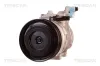 Kompressor, Klimaanlage TRISCAN 9020 43041