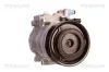 Kompressor, Klimaanlage TRISCAN 9020 43041 Bild Kompressor, Klimaanlage TRISCAN 9020 43041