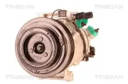 Kompressor, Klimaanlage TRISCAN 9020 43047