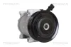 Kompressor, Klimaanlage TRISCAN 9020 43048 Bild Kompressor, Klimaanlage TRISCAN 9020 43048